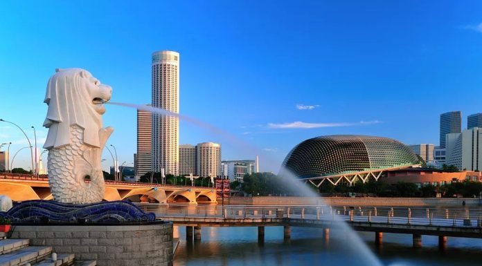 新加坡国立大学和南洋理工大学公布商学院2024年入学申请时间