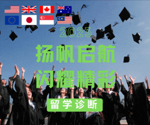 Google search engine